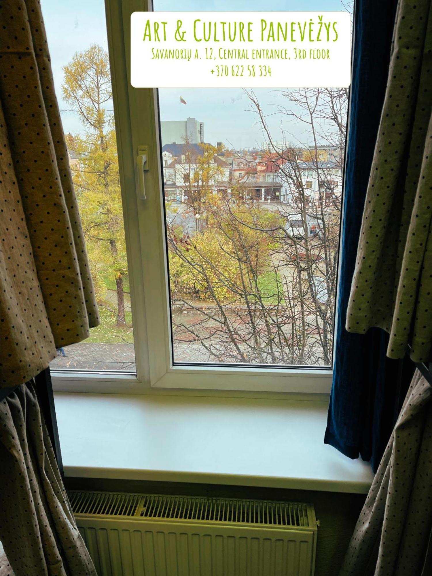 Art & Culture Panevezys旅舍 外观 照片