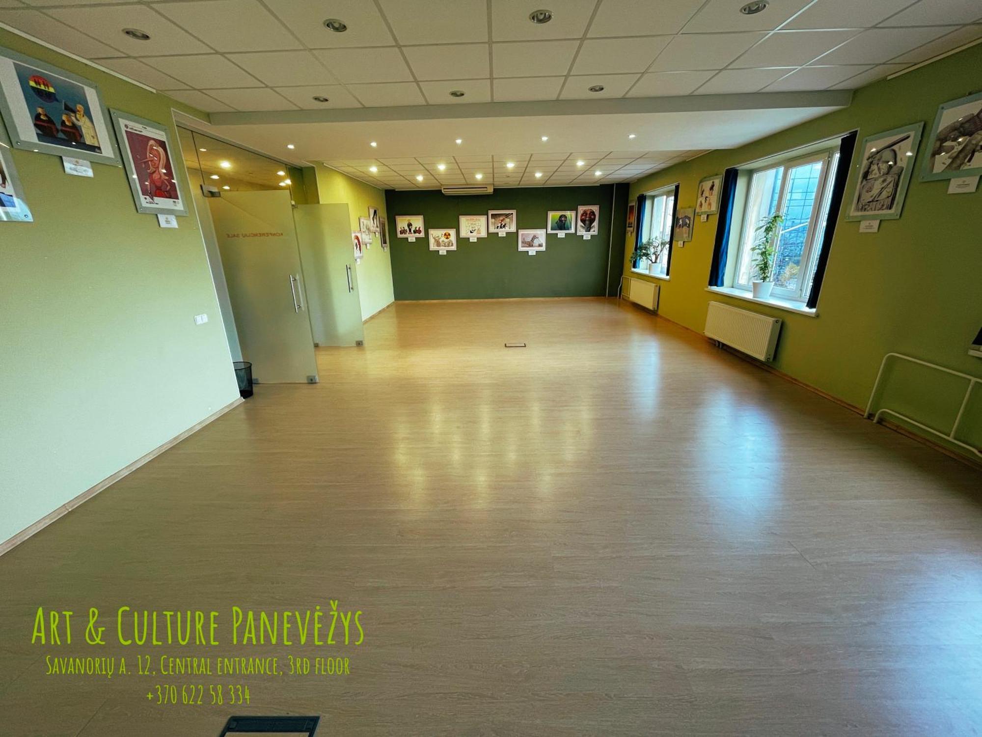 Art & Culture Panevezys旅舍 外观 照片